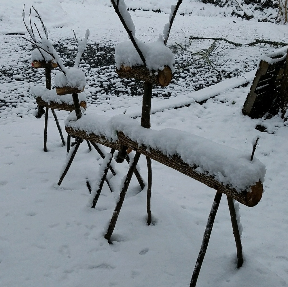 Meet your Posher, Connie